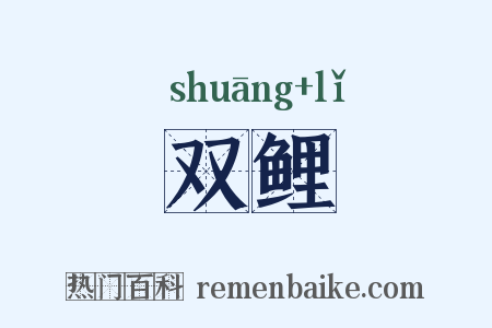 双鲤是什么意思的图片